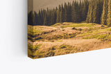 Paul Sinus Wandbild 120x80cm Natur Berge Landschaft Tannenwald Bäume weiße Wolken