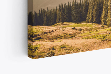 Paul Sinus Wandbild 120x80cm Natur Berge Landschaft Tannenwald Bäume weiße Wolken