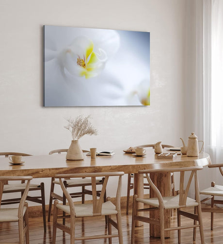Paul Sinus Wandbild 120x80cm Weiße Orchidee Blume Blüte Gelb Hell