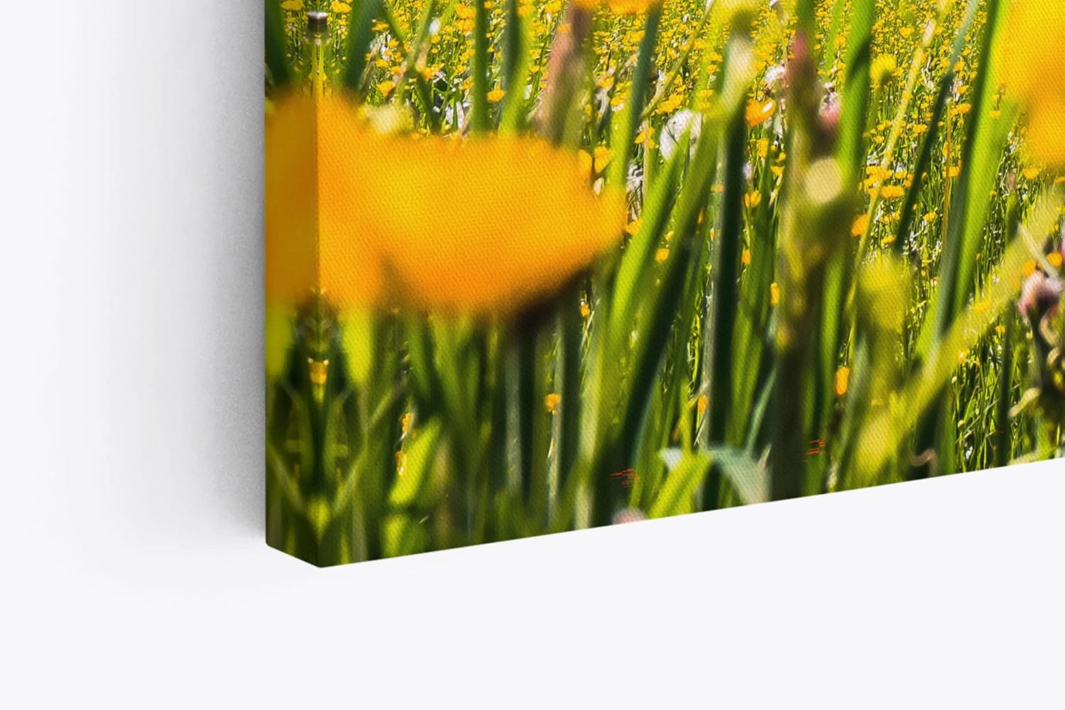 Paul Sinus Wandbild 120x80cm Alpen Österreich Schneegipfel Wiese Blumen Sonnenschein