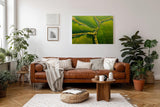 Sinus Art Wandbild 120x80cm Atemberaubende Luftaufnahme mit geometrisch verlaufenden Baumreihen auf sattem Grün