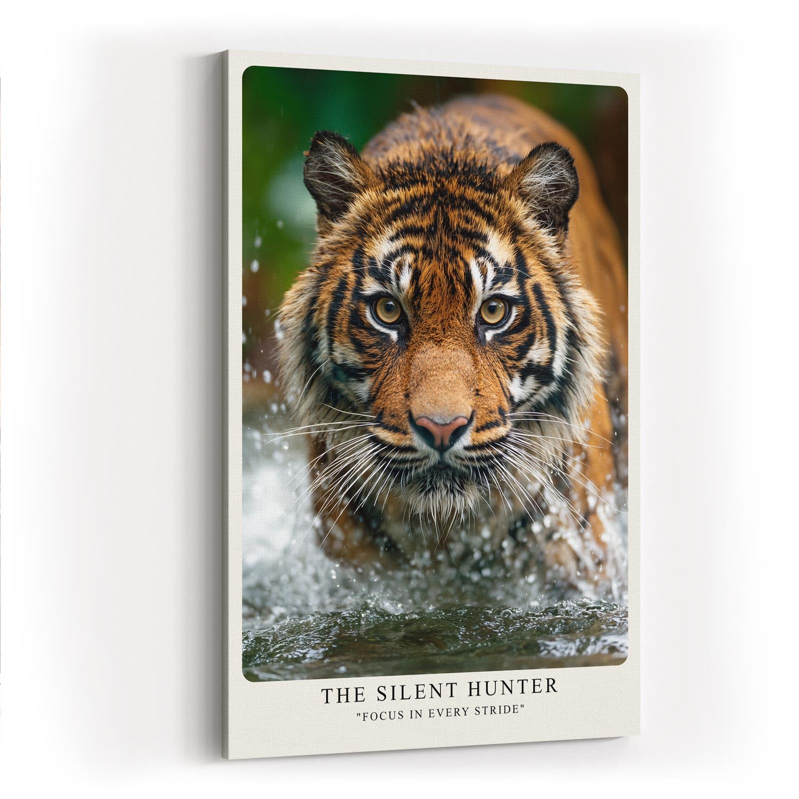 Paul Sinus Wandbild in 40x60cm The Silent Hunter – Faszinierendes Tigerporträt im Wasser in hoher Farbbrillanz