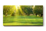 Sinus Art Wandbild 120x80cm Lichtdurchfluteter Wald mit kräftigem Grün und sanftem Schattenwurf