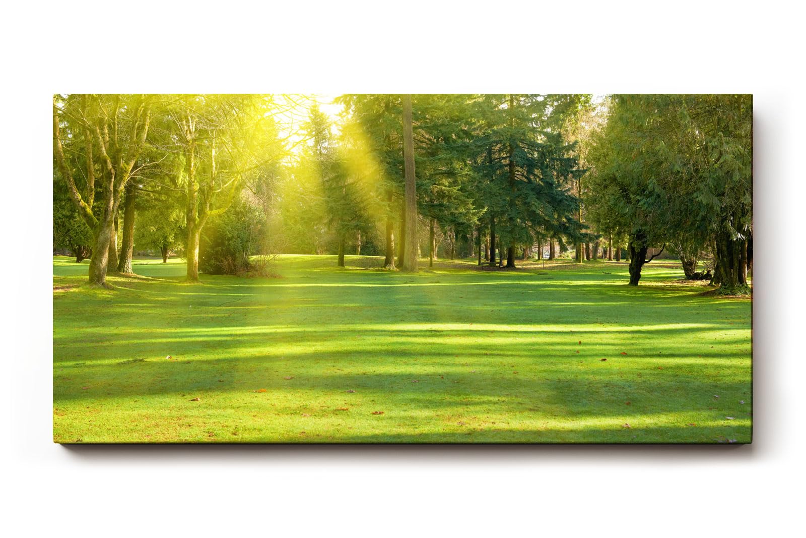 Sinus Art Wandbild 120x80cm Lichtdurchfluteter Wald mit kräftigem Grün und sanftem Schattenwurf