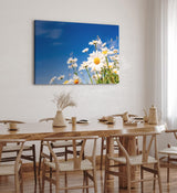 Paul Sinus Wandbild 120x80cm Gänseblümchen Blumen blauer Himmel Sonnenschein Sommer