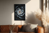 Paul Sinus Wandbild in 40x60cm The Dark Bloom – Detailliertes Blumenmotiv in dunklen und kühlen Farbtönen