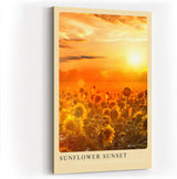 Paul Sinus Kunstdruck 40x60cm Sunflower Sunset Sonnenblumenfeld im goldenen Licht des Sonnenuntergangs mit leuchtender Tiefe