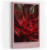 Paul Sinus Kunstdruck 40x60cm Red Succulent Makro Pflanze Dunkelrot Natur Sukkulente Struktur