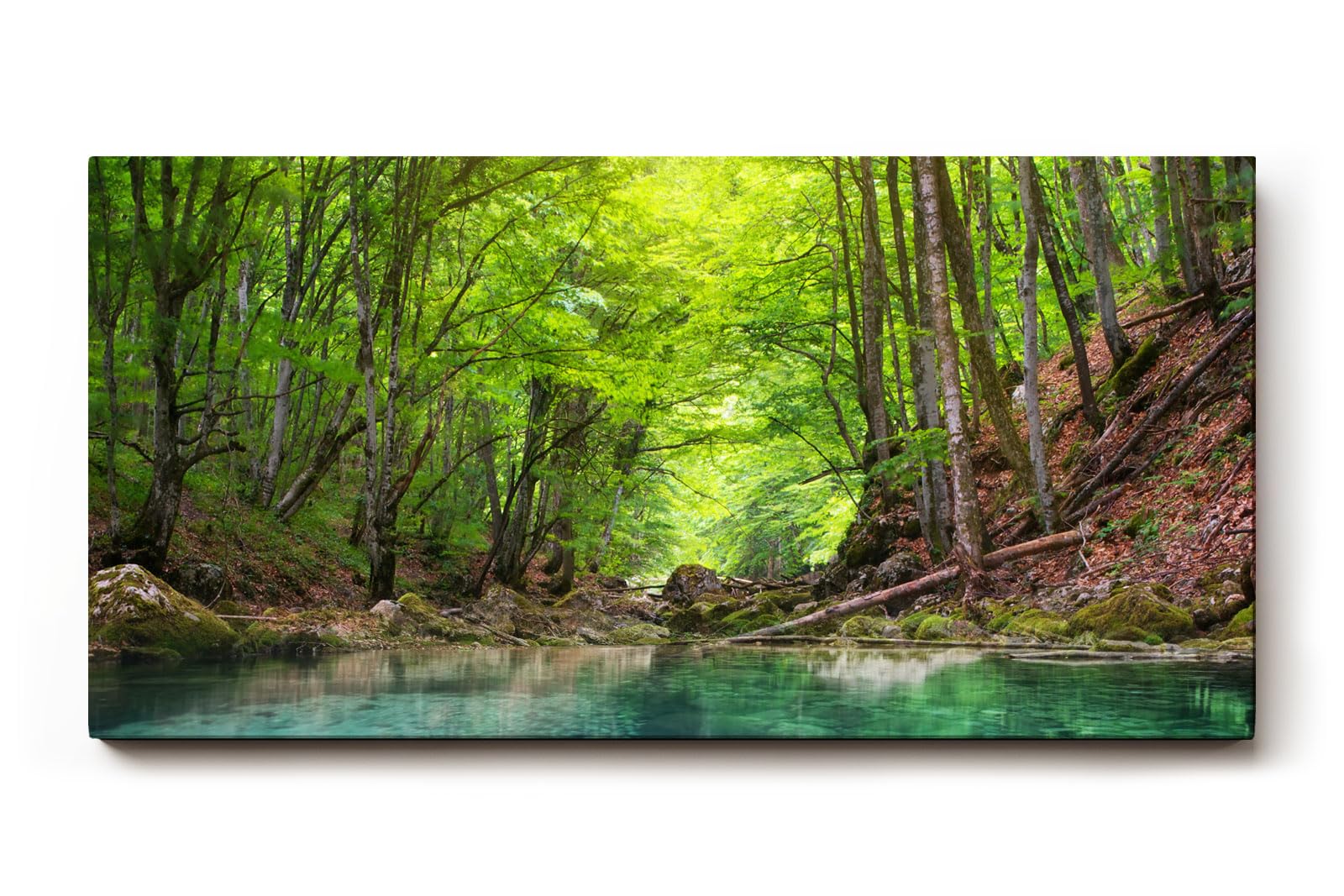 Sinus Art Wandbild 120x80cm Friedlicher Fluss mit glasklarem Wasser inmitten eines grünen Laubwaldes