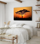 Paul Sinus Wandbild 120x80cm Afrikanische Landschaft Burkea Africana Bäume Sonnenuntergang