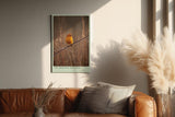 Paul Sinus Wandbild in 40x60cm Gelber Singvogel auf taubenetztem Zweig in Morgenstimmung