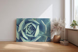 Sinus Art Wandbild 120x80cm Geometrisch aufgebaute Blätter einer Sukkulente in faszinierender Perspektive
