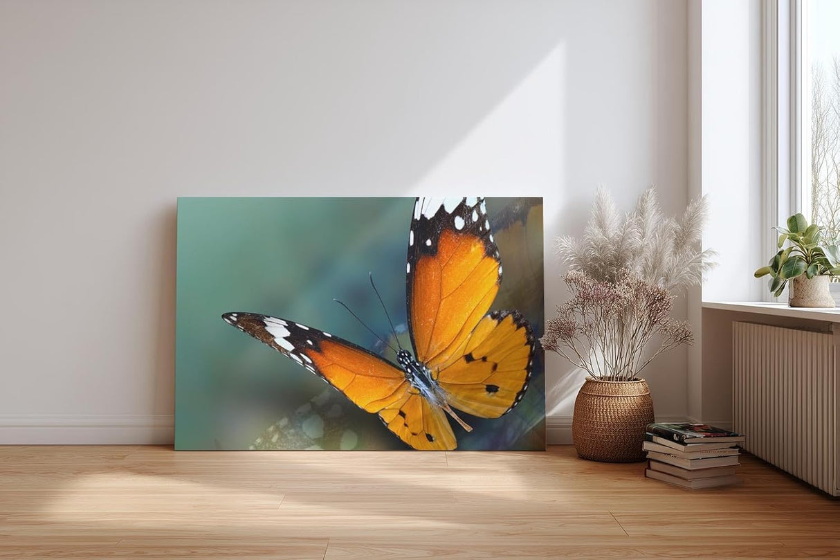 Sinus Art Wandbild 120x80cm Detaillierte Nahaufnahme eines orangefarbenen Schmetterlings mit harmonischer Komposition