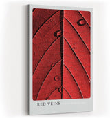 Paul Sinus Kunstdruck 40x60cm Red Veins – Makroaufnahme eines roten Blattes mit strukturierten Adern und Wassertropfen