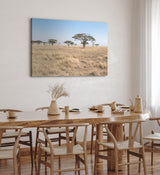 Paul Sinus Wandbild 120x80cm Afrikanische Landschaft Burkea Africana Bäume Steppe