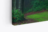 Paul Sinus Wandbild 120x80cm Dunkler Wald Bäume Natur Grün Moos