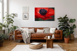 Sinus Art Wandbild 120x80cm Starke Nahaufnahme einer offenen roten Mohnblüte mit Fokus auf das tiefschwarze Zentrum