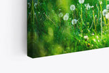 Paul Sinus Wandbild 120x80cm Grüne Wiese Pusteblumen Baum Sonnenschein Sommer