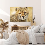 Paul Sinus Wandbild 120x80cm Kleiner Gepard Babygepard Katze Babykatze Tierfotografie