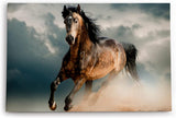 Paul Sinus Wandbild 120x80cm Pferd Wildpferd Mustang Tierfotografie Wildnis
