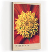 Paul Sinus Kunstdruck 40x60cm Inner Bloom mit Nahaufnahme einer farbintensiven Blüte