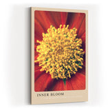 Paul Sinus Kunstdruck 40x60cm Inner Bloom mit Nahaufnahme einer farbintensiven Blüte