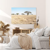Paul Sinus Wandbild 120x80cm Afrikanische Landschaft Burkea Africana Bäume Steppe