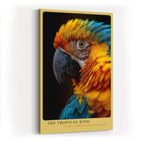 Paul Sinus Wandbild in 40x60cm The Tropical King – farbenprächtiges Porträt eines Aras in intensiven Blauund Gelbtönen für exotische Raumgestaltung