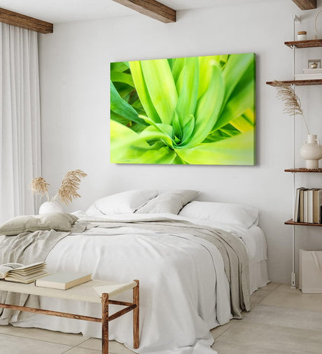 Paul Sinus Wandbild 120x80cm Grüne Pflanze Makrofotografie Kunstvoll Dekorativ
