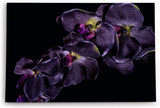 Paul Sinus Wandbild 120x80cm Dunkele Orchidee Blume Blüte Schwarz Fotokunst