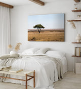 Paul Sinus Wandbild 120x80cm Afrikanische Landschaft Burkea Africana Bäume Steppe