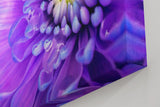 Sinus Art Wandbild 120x80cm Violettblaue Blüte mit hellem Zentrum – elegant, beruhigend und farbstark