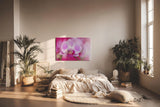 Sinus Art Wandbild 120x80cm Die Tropfen auf den Blütenblättern verleihen dem Motiv eine frische und natürliche Eleganz