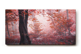Sinus Art Wandbild 120x80cm Roter Herbstwald mit dichter Vegetation und nebligem Licht – geheimnisvoll und bezaubernd