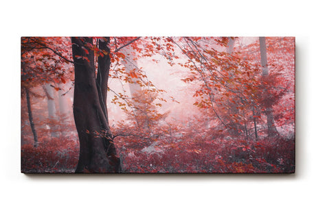 Sinus Art Wandbild 120x80cm Roter Herbstwald mit dichter Vegetation und nebligem Licht – geheimnisvoll und bezaubernd