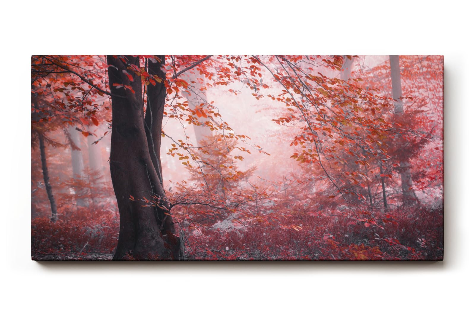 Sinus Art Wandbild 120x80cm Roter Herbstwald mit dichter Vegetation und nebligem Licht – geheimnisvoll und bezaubernd