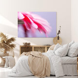 Paul Sinus Wandbild 120x80cm Blume Blüte Rosa Makroaufnahme Kunstvoll Dekorativ