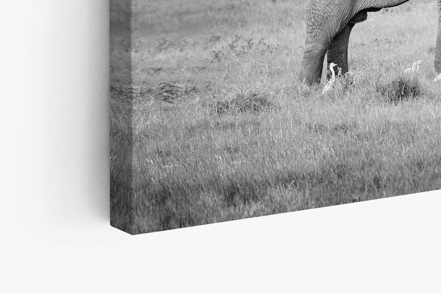 Paul Sinus Wandbild 120x80cm Zwei Elefanten Schwarz Weiß Afrika Tierfotografie
