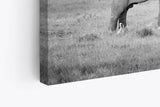 Paul Sinus Wandbild 120x80cm Zwei Elefanten Schwarz Weiß Afrika Tierfotografie