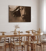 Paul Sinus Wandbild 120x80cm Büffel Wasserbüffel Thailand Hörner Natur