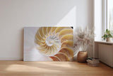 Sinus Art Wandbild 120x80cm Spiralförmige Nautilus-Schale in sanften Beige- und Perlmutttönen