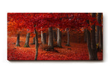 Sinus Art Wandbild 120x80cm Hochsättigtes Rot in Kombination mit natürlichen Brauntönen schafft ein warmes und dynamisches Raumerlebnis