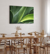 Paul Sinus Wandbild 120x80cm Pflanze Grün Nahaufnahme Fotokunst Natur Dekorativ