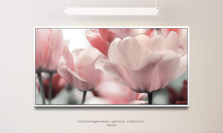 Tulpen ca. 130x70cm Wandbild inklusive Schattenfugenrahmen weiss - Panorama Leinwand Bild XXL Format Wandbilder Wohnzimmer Wohnung Deko Kunstdrucke