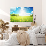 Paul Sinus Wandbild 120x80cm Sommerwiese Löwenzahn Sonnenschein Bäume Natur