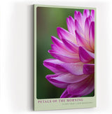 Paul Sinus Wandbild in 40x60cm Petals of the Morning – zarte Nahaufnahme einer pink-violetten Blüte mit Tautropfen für frische Raumakzente