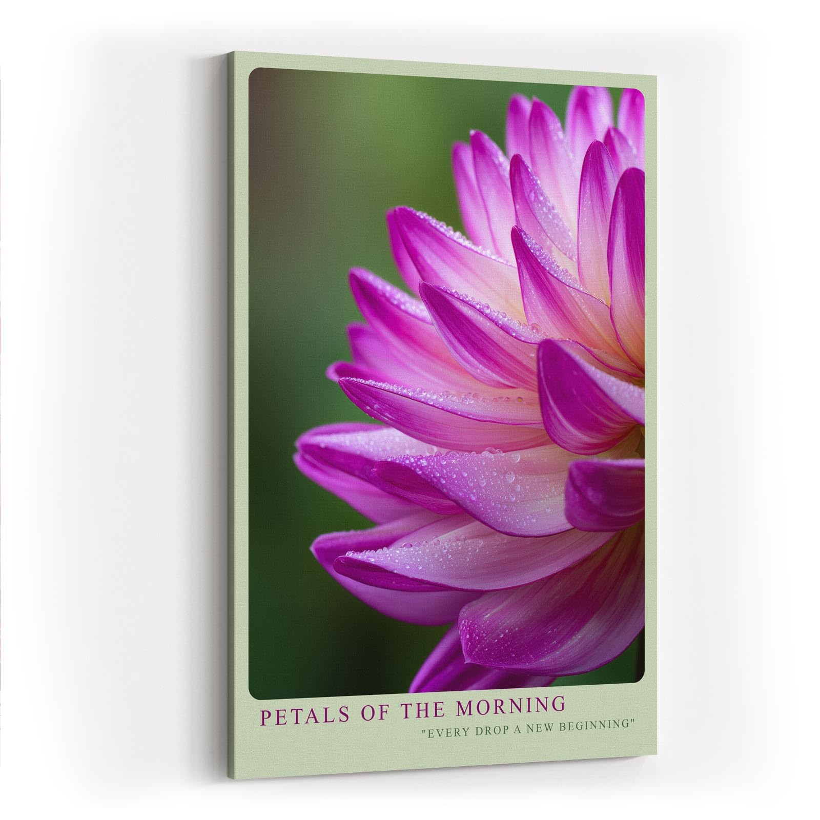 Paul Sinus Wandbild in 40x60cm Petals of the Morning – zarte Nahaufnahme einer pink-violetten Blüte mit Tautropfen für frische Raumakzente