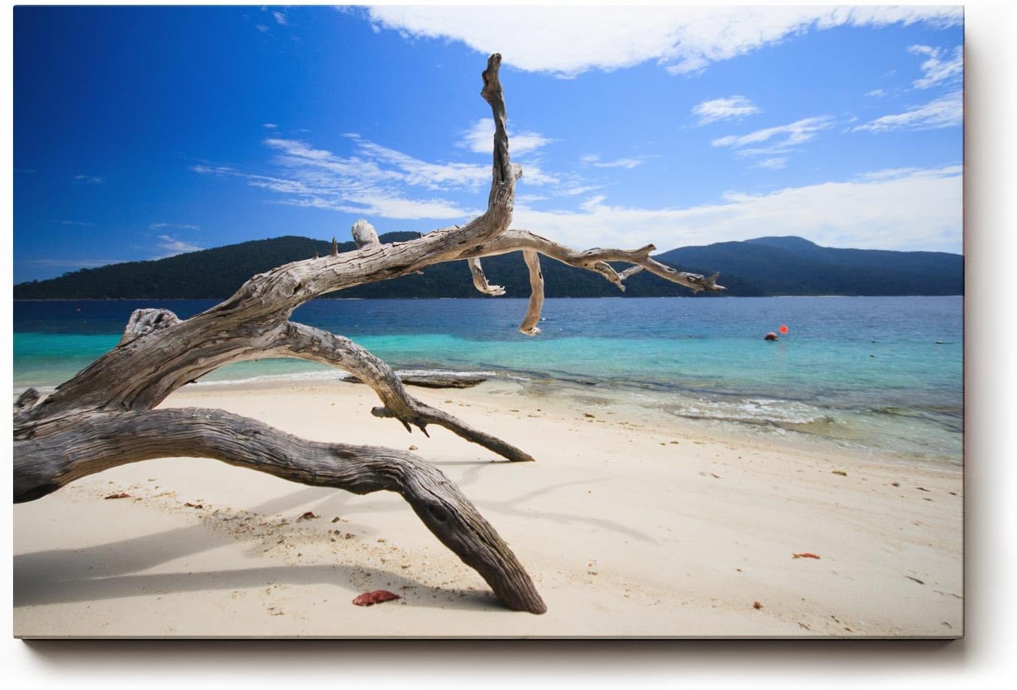 Sinus Art Wandbild 120x80cm Faszinierendes Motiv mit Treibholz am weißen Sandstrand vor türkisfarbenem Meer