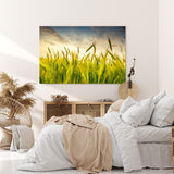 Paul Sinus Wandbild 120x80cm Weizenfeld Weizen Feld Himmel Natur Fotokunst