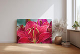 Sinus Art Wandbild 120x80cm Faszinierende Makroaufnahme einer roten Lilie mit feinen Regentropfen